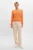 Gonzo.7002522_birch-zebra_04 (1).webp