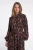 Ilonka.7002612_Brown-leopard_02.webp