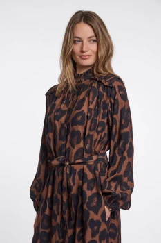 Ilonka.7002612_Brown-leopard_05_1f53f629-681f-4299-a8cb-32ef5df523a9.webp